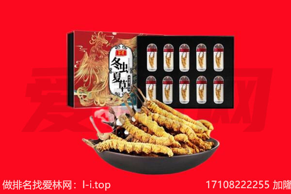 全州县回收虫草.jpg